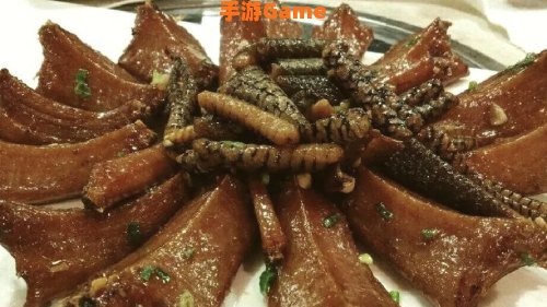 美味风蛇食谱
