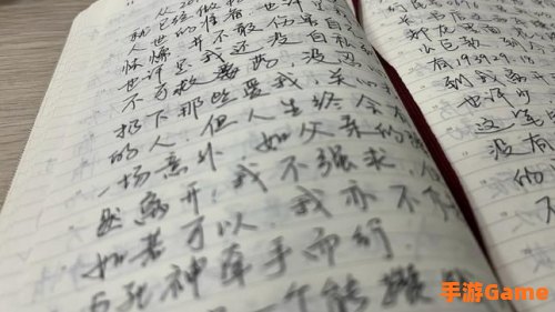 破损的日记