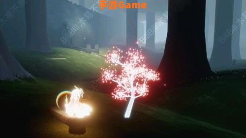 光遇雨林