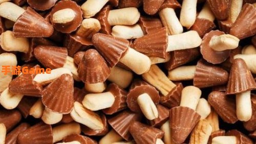 巧克力是很多人眼里的美食：甜蜜诱惑，味蕾盛宴