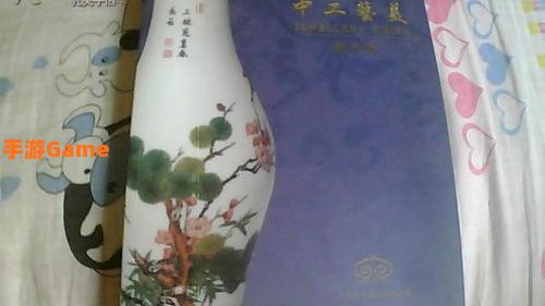 中艺数字藏品：探索数字艺术收藏的新天地